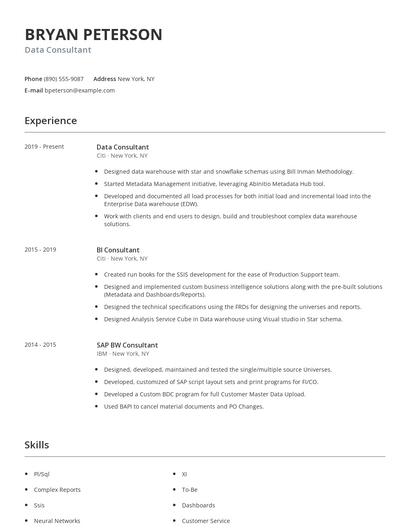 Data Consultant Resume