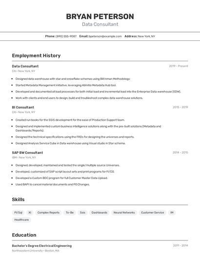 Data Consultant Resume