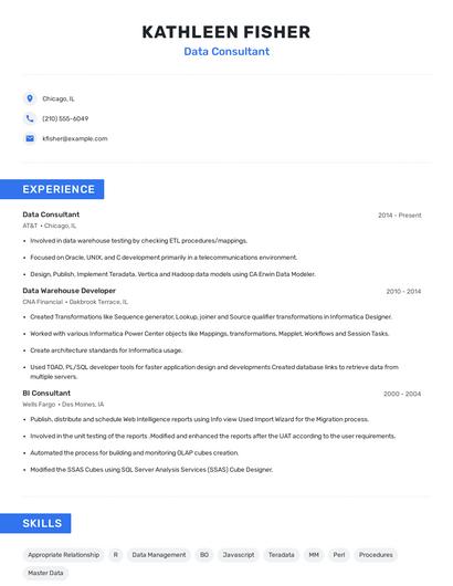 Data Consultant Resume