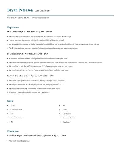 Data Consultant Resume