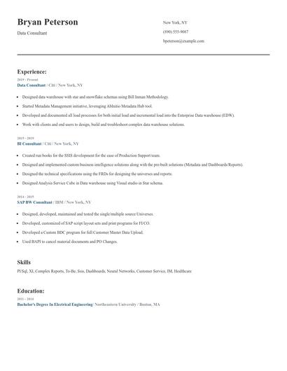 Data Consultant Resume