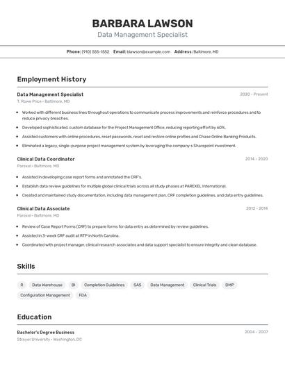 Resume example 2