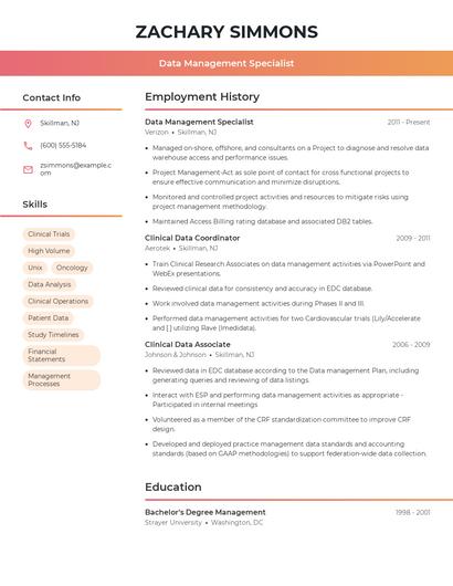 Resume example 3