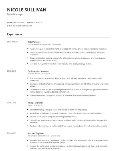 Data Manager Resume
