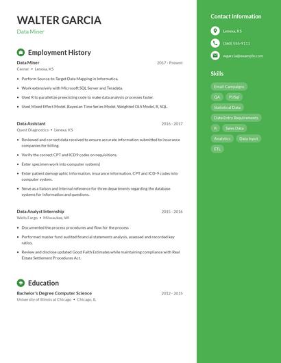 Data Miner Resume