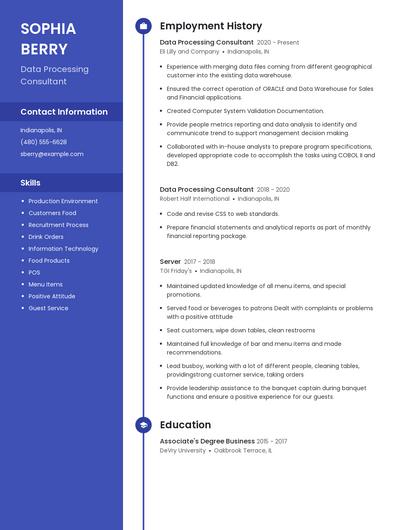 Data Processing Consultant Resume
