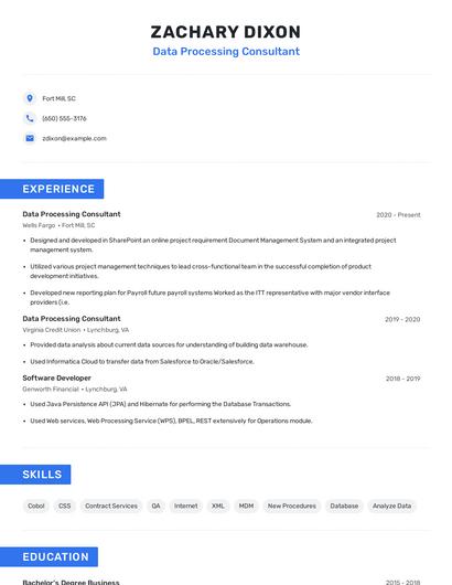 Data Processing Consultant Resume