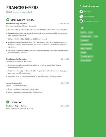 Data Processing Consultant Resume