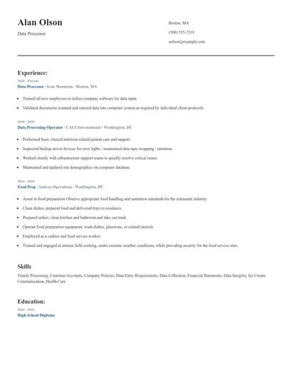 Data Processor Resume