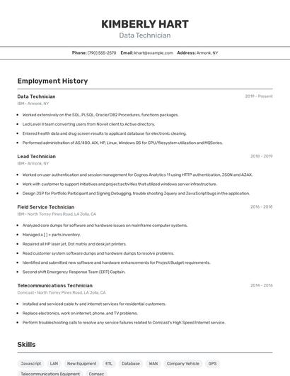 Resume example 2