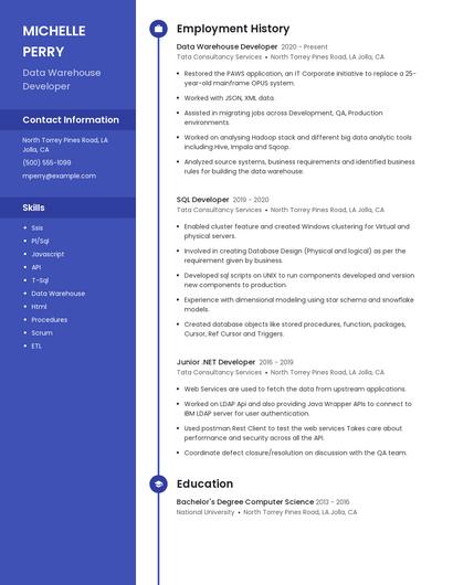 Resume example 5