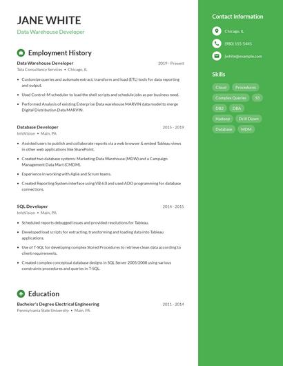 Resume example 4