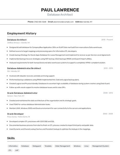 Database Architect Resume