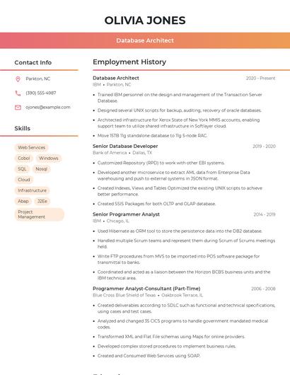Database Architect Resume