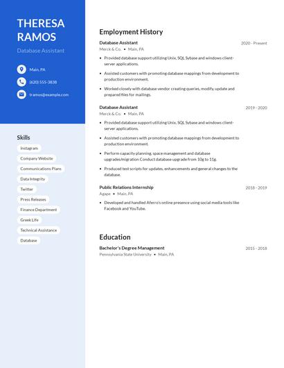 Database Assistant Resume