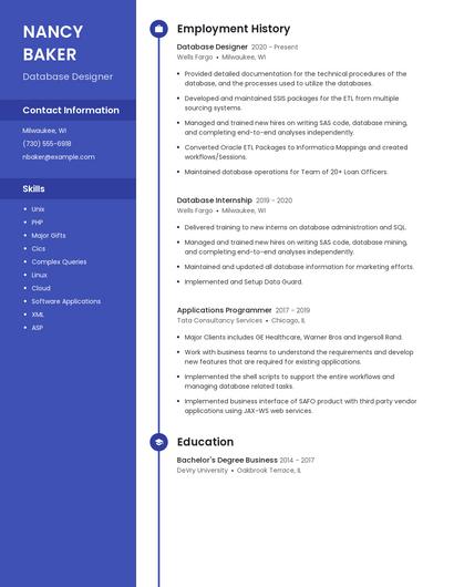 Database Designer Resume