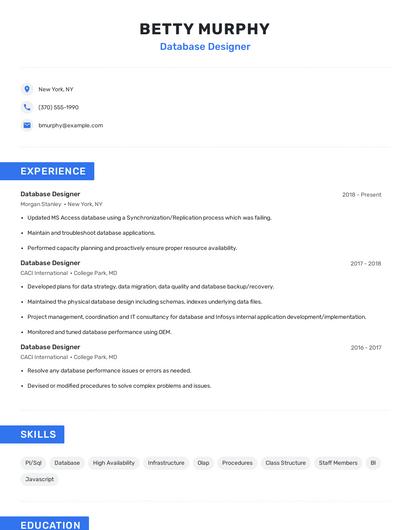 Database Designer Resume