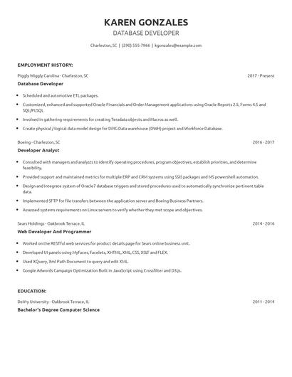 Database Developer Resume