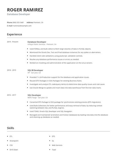 Database Developer Resume