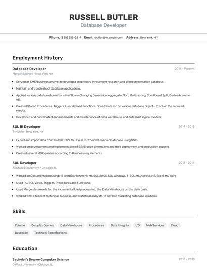 Database Developer Resume