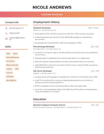 Database Developer Resume