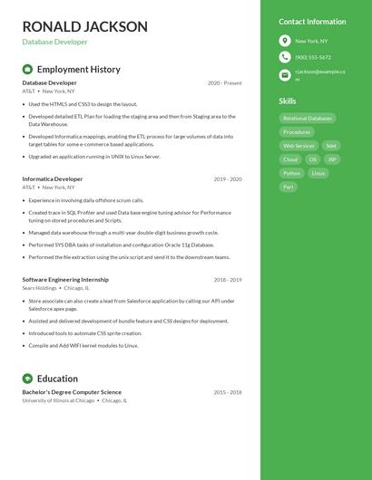 Resume example 5