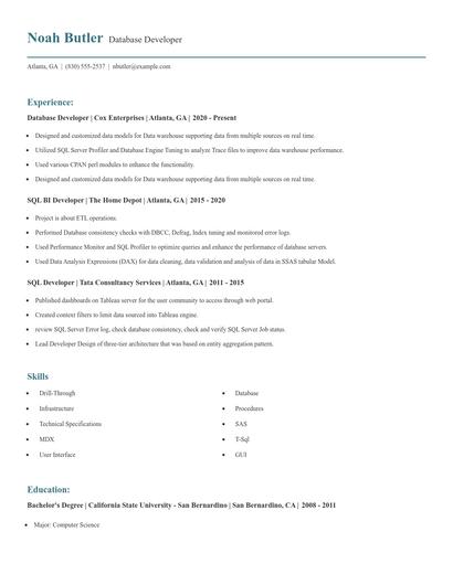 Database Developer Resume