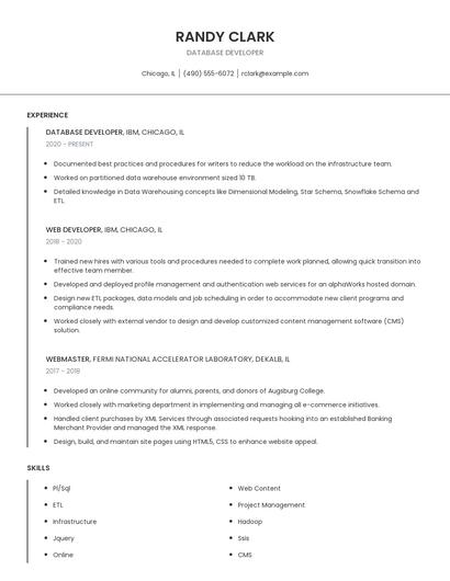 Database Developer Resume