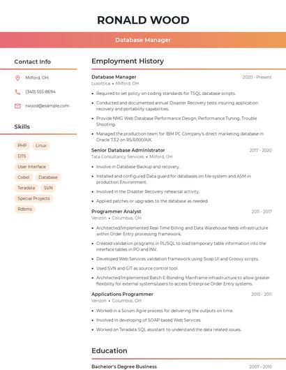 Resume example 3