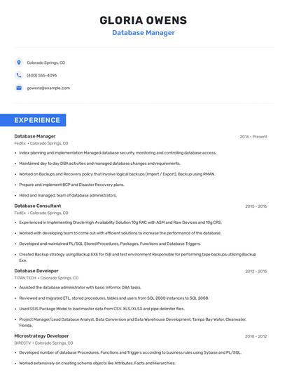 Database Manager Resume