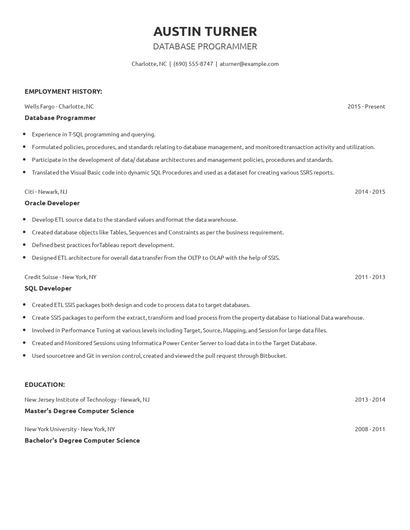 Database Programmer Resume