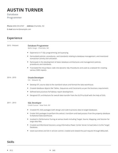 Database Programmer Resume