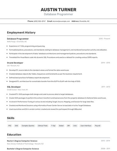 Database Programmer Resume