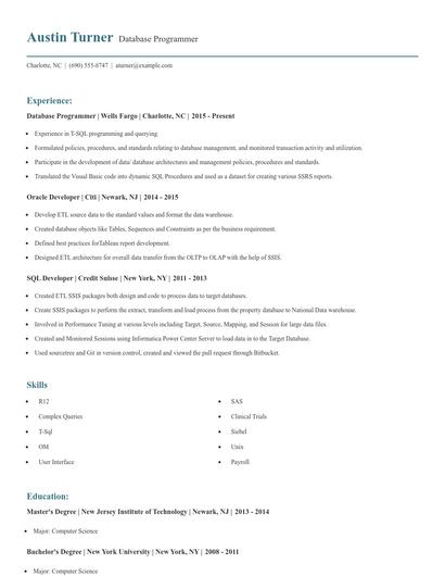Database Programmer Resume