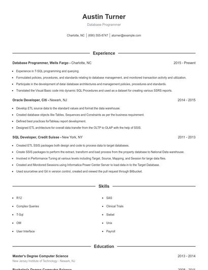 Database Programmer Resume