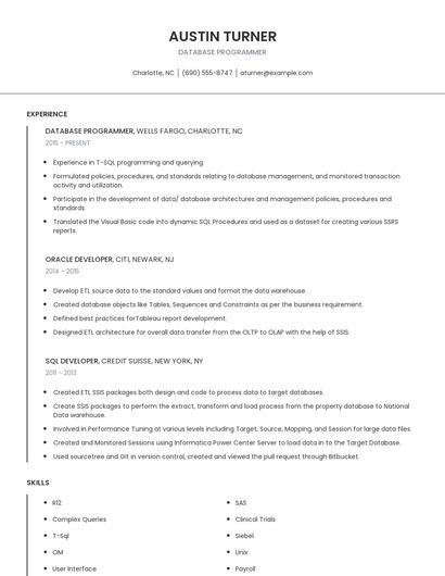 Database Programmer Resume