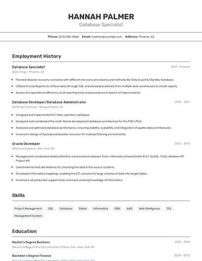 Resume example 2