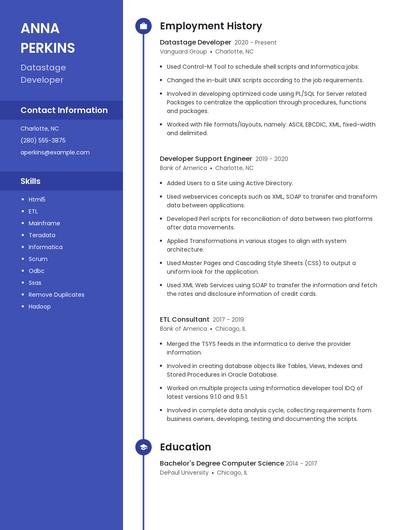 Resume example 4