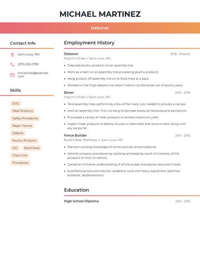 Resume example 3