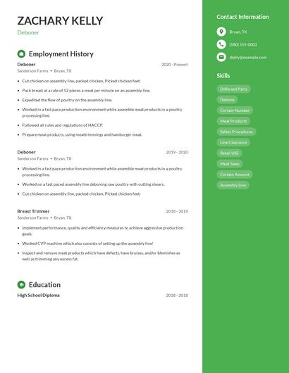 Resume example 5