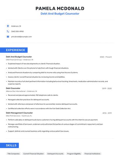 Debt And Budget Counselor Resume