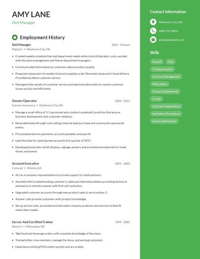 Resume example 4