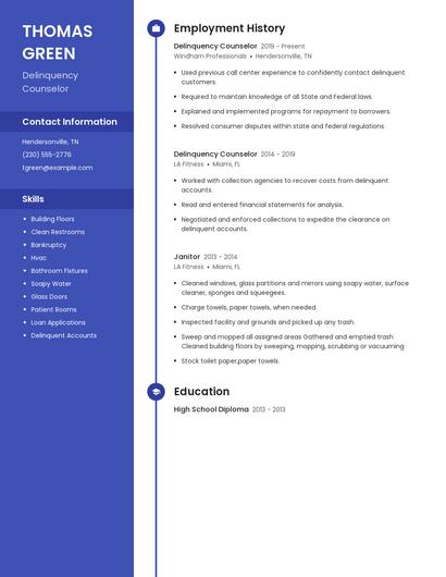 Delinquency Counselor Resume