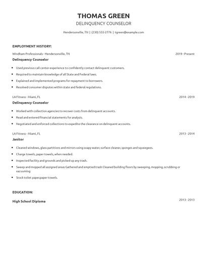 Delinquency Counselor Resume