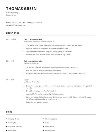 Delinquency Counselor Resume