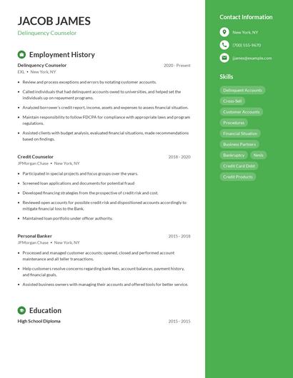 Delinquency Counselor Resume
