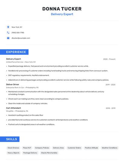 Delivery Expert Resume
