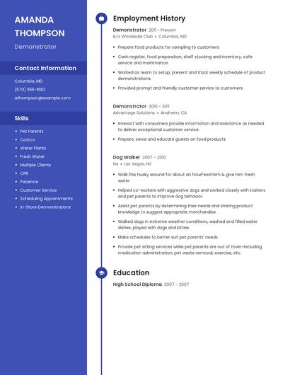 Resume example 4