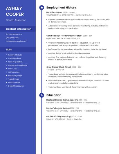 Resume example 5