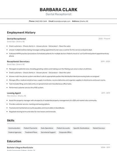 Resume example 2
